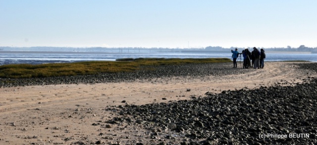 Poste d'observation sur l'estran, dans la passe aux bœufs